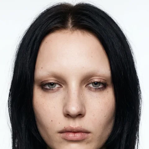 Rae, a VISUAILS standard model